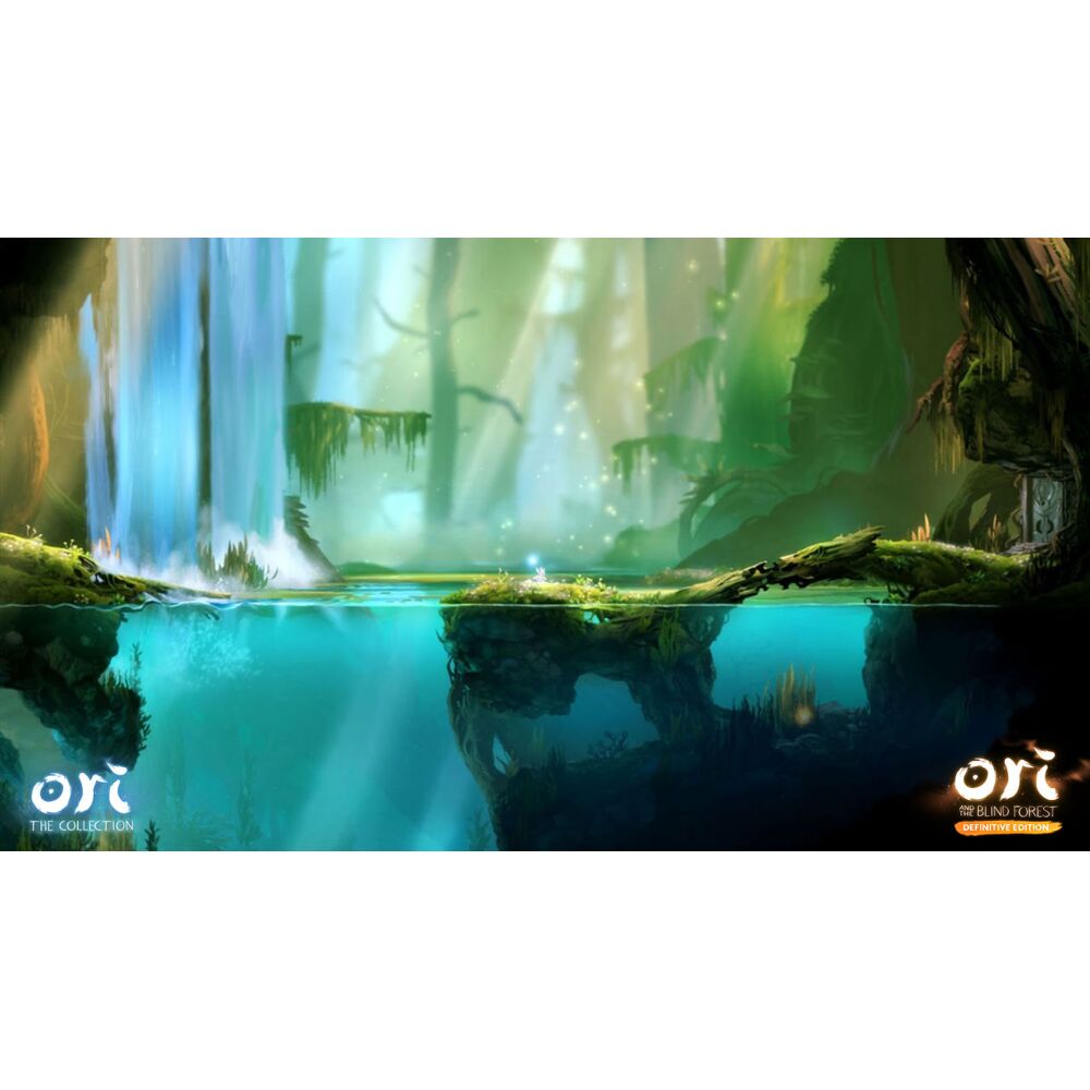 Ori and the blind forest best sale switch cartridge